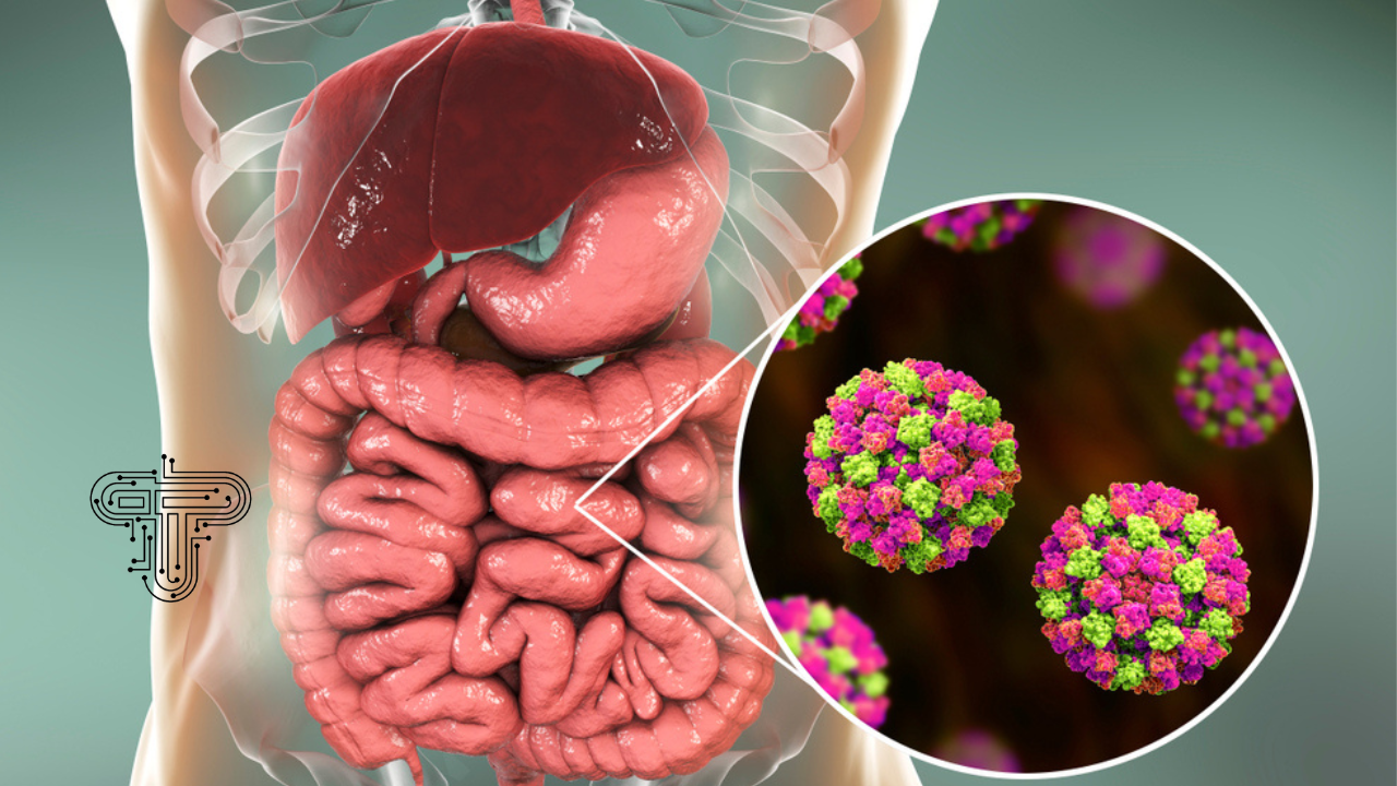 wellhealthorganic.com : key signs of gastroenteritis