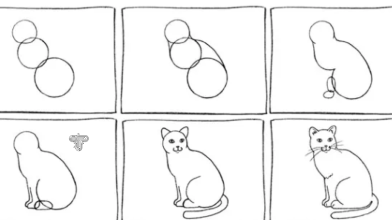 how to draw a cat