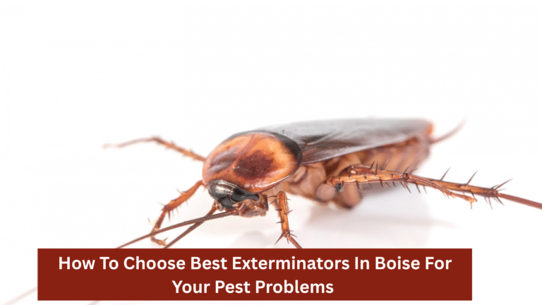 How To Choose Best Exterminators In Boise For Your Pest Problems