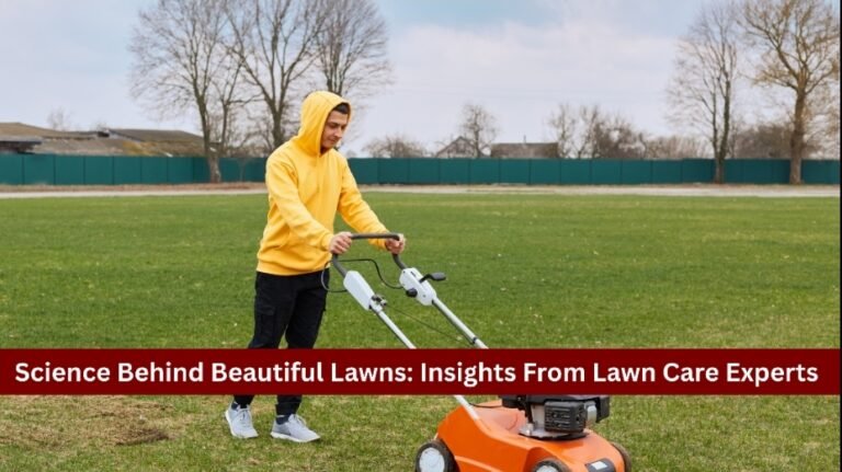 Science Behind Beautiful Lawns: Insights From Lawn Care Experts